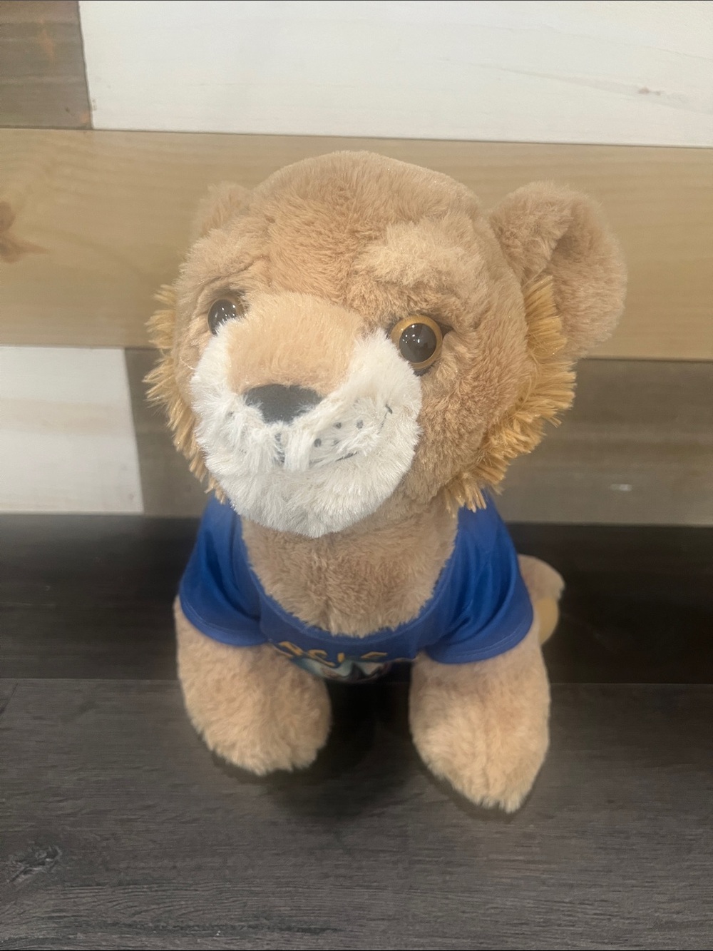 Build a bear Disney the lion king stuff animal with circle of life tee shirt